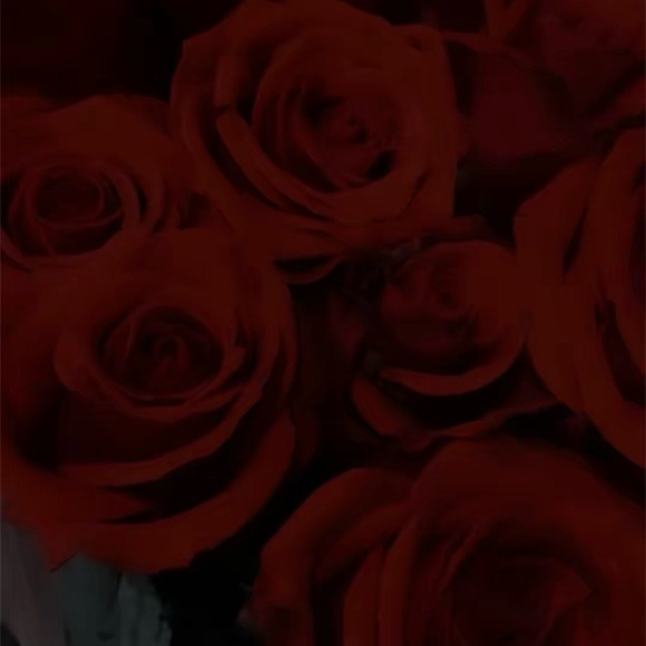 Hello! My name is Tee 🥰 - Picture 9 of 9